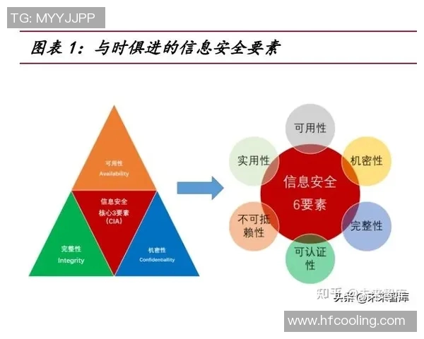 广州排球队意识提升与战术创新的深度探讨与分析